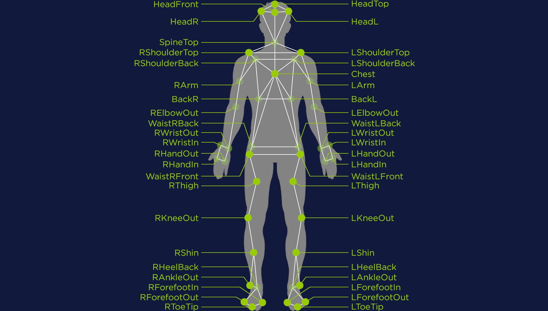 ../_images/qualisys_joint_labels.png